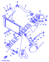RADIATEUR / DURITES pour Yamaha TDR125 de 1993