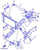 RADIATEUR / DURITES pour Yamaha TDR125 de 1995