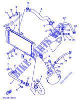 RADIATEUR / DURITES pour Yamaha TDR125 de 1996