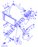 RADIATEUR / DURITES pour Yamaha TDR125 de 1996