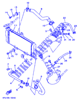 RADIATEUR / DURITES pour Yamaha TDR125 de 1997