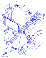 RADIATEUR / DURITES pour Yamaha TDR125 de 1999
