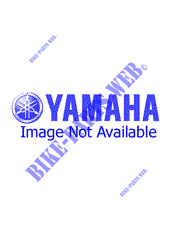 MAITRE CYLINDRE AVANT pour Yamaha TDR125 de 1999