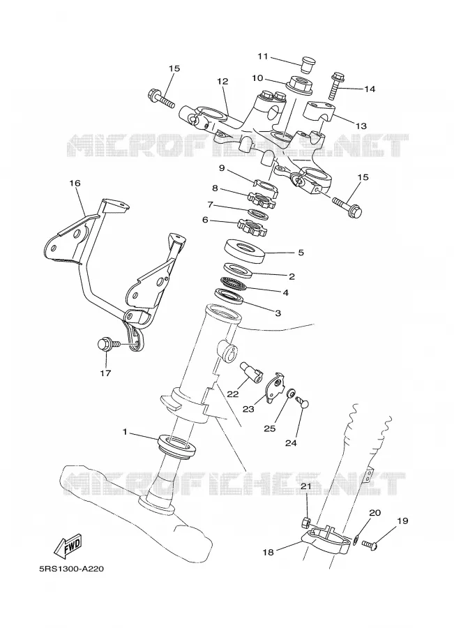 DIRECTION Yamaha MOTO 125 2002 TW  TW125