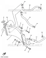 RADIATEUR / DURITES pour Yamaha TZ250 de 1998