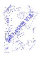 RADIATEUR / DURITES pour Yamaha VP300 de 2005