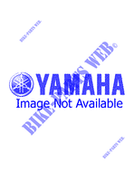 KIT DE REPARATION  pour Yamaha WR250Z de 1995