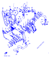 RADIATEUR / DURITES pour Yamaha XTZ660 de 1993