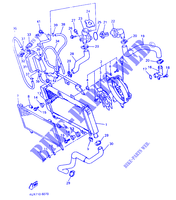 RADIATEUR / DURITES pour Yamaha XTZ660 de 1996