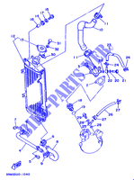 RADIATEUR / DURITES pour Yamaha DT125R de 1991