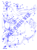 RADIATEUR / DURITES pour Yamaha YP125R de 2000