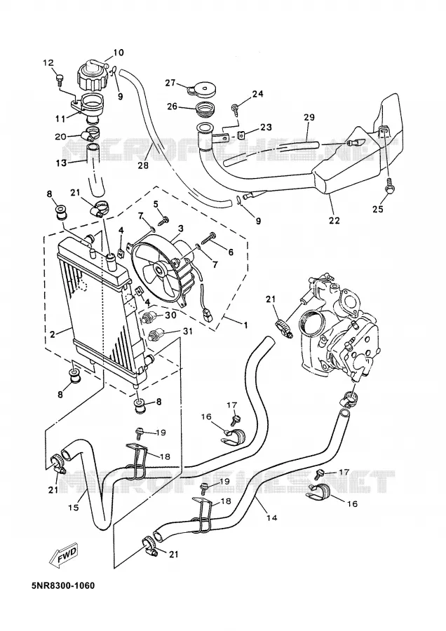 RADIATEUR / DURITES Yamaha SCOOTER 150 2002 MAJESTY  YP150D