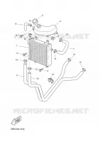 RADIATEUR / DURITES pour Yamaha YQ50 de 2005