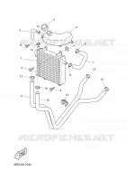 RADIATEUR / DURITES pour Yamaha YQ50 de 2005