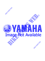 EMBRAYAGE DE DEMARREUR pour Yamaha YW100 de 1997