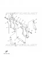 RADIATEUR / DURITES pour Yamaha YZ125N de 2001