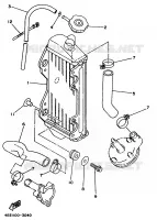RADIATEUR / DURITES pour Yamaha YZ80LW de 1998