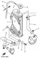 RADIATEUR / DURITES pour Yamaha YZ80LWL de 1999