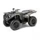 450 2010 GRIZZLY YFM450FWAN