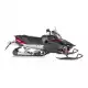 1000 2015 RS VECTOR RS10ST