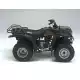 250 1998 TIMBERWOLF YFB250